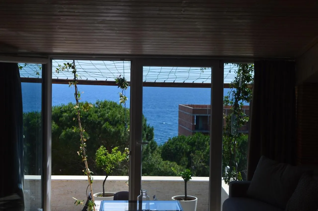 Apartments Albani Shengjin