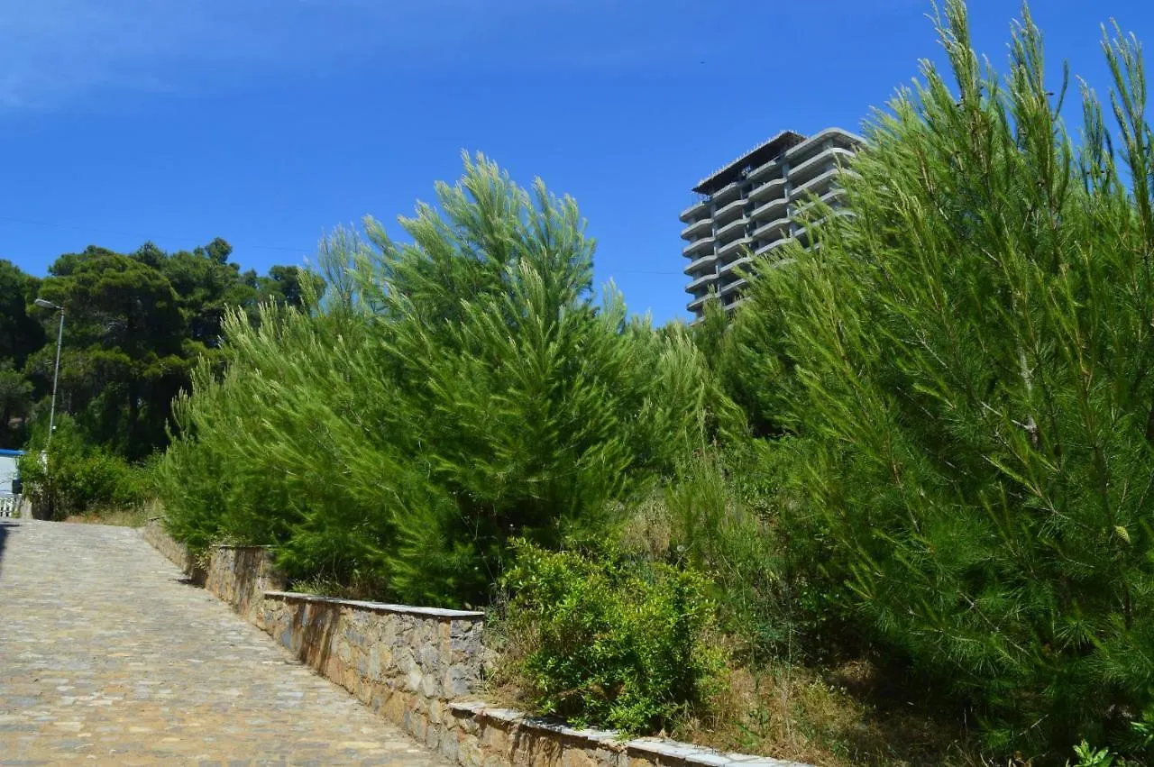 Apartments Albani Shengjin