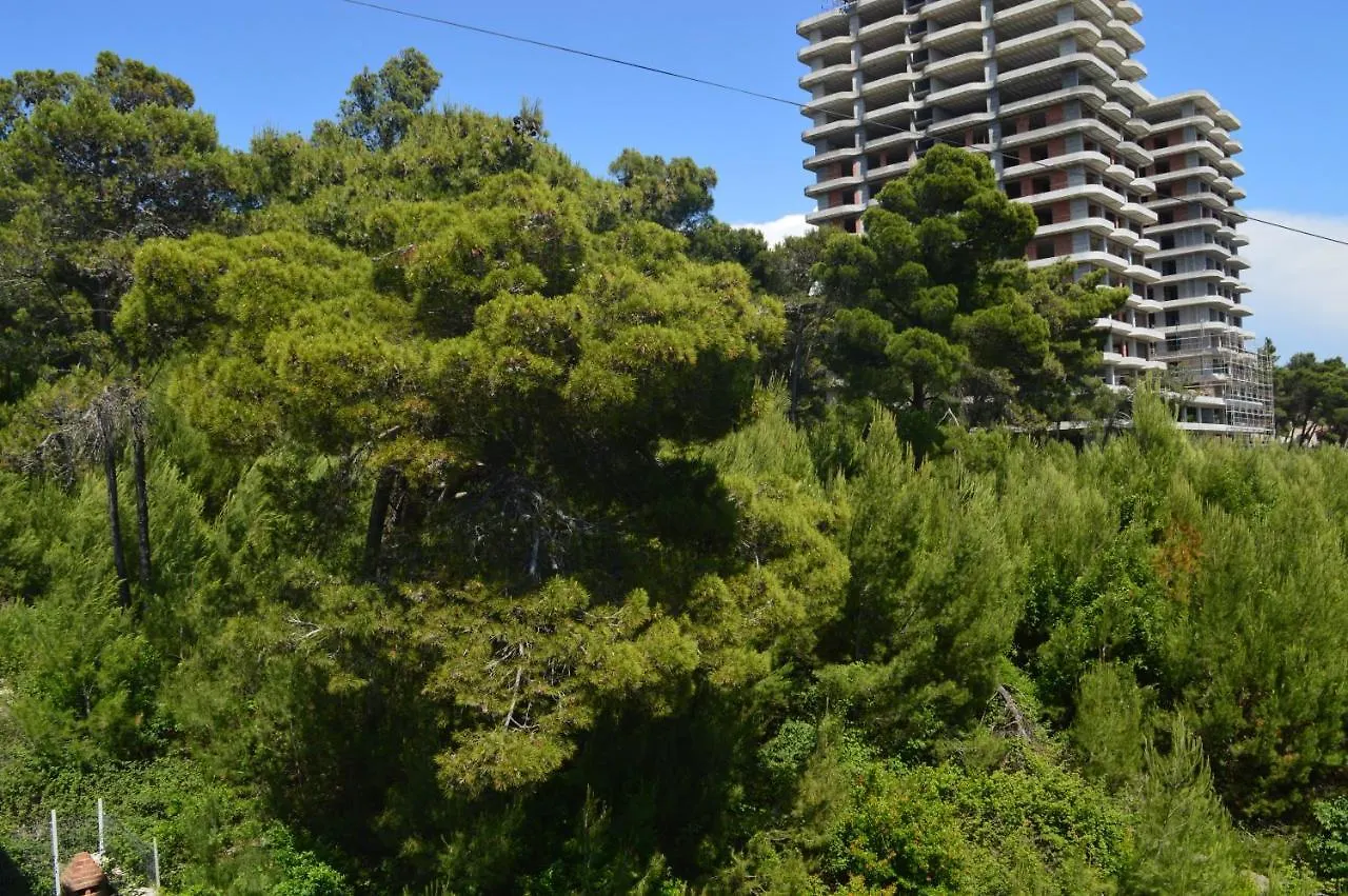 Apartments Albani Shengjin